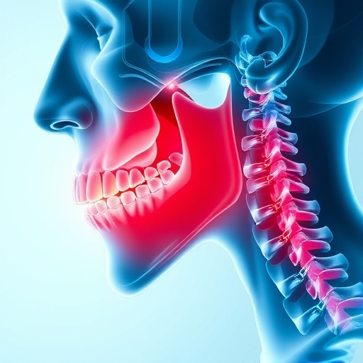 anatomy jaw for blog article illustration with diffuse pain
